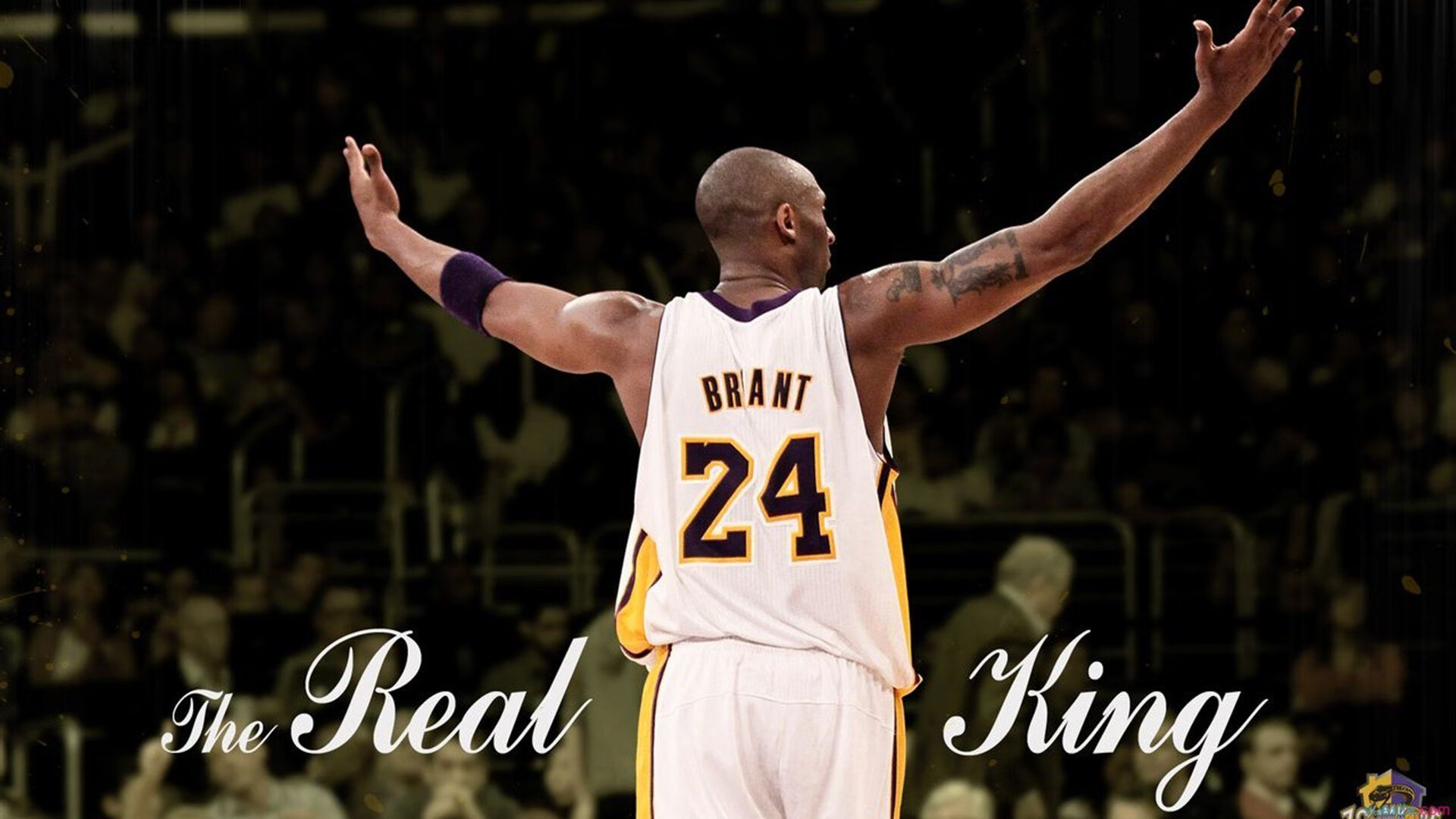 史上最经典“冠军夜”：燃爆全场的绝美回忆，zq冠军之夜